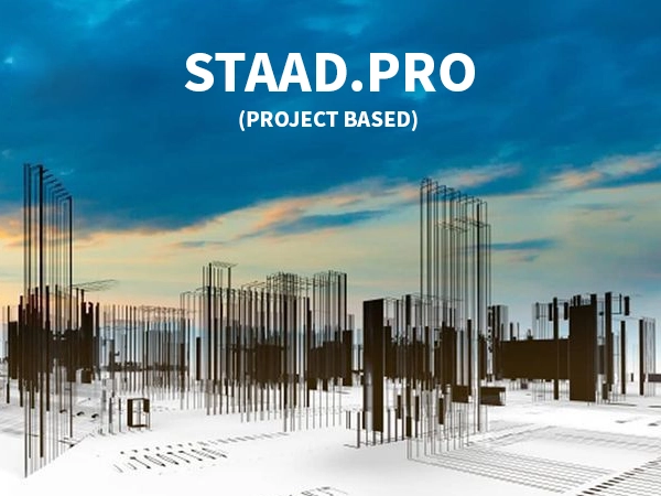 STAAD.PRO (Project Based)